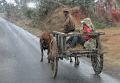 848 - POURING RAIN - KETTLER JEAN-PAUL - france